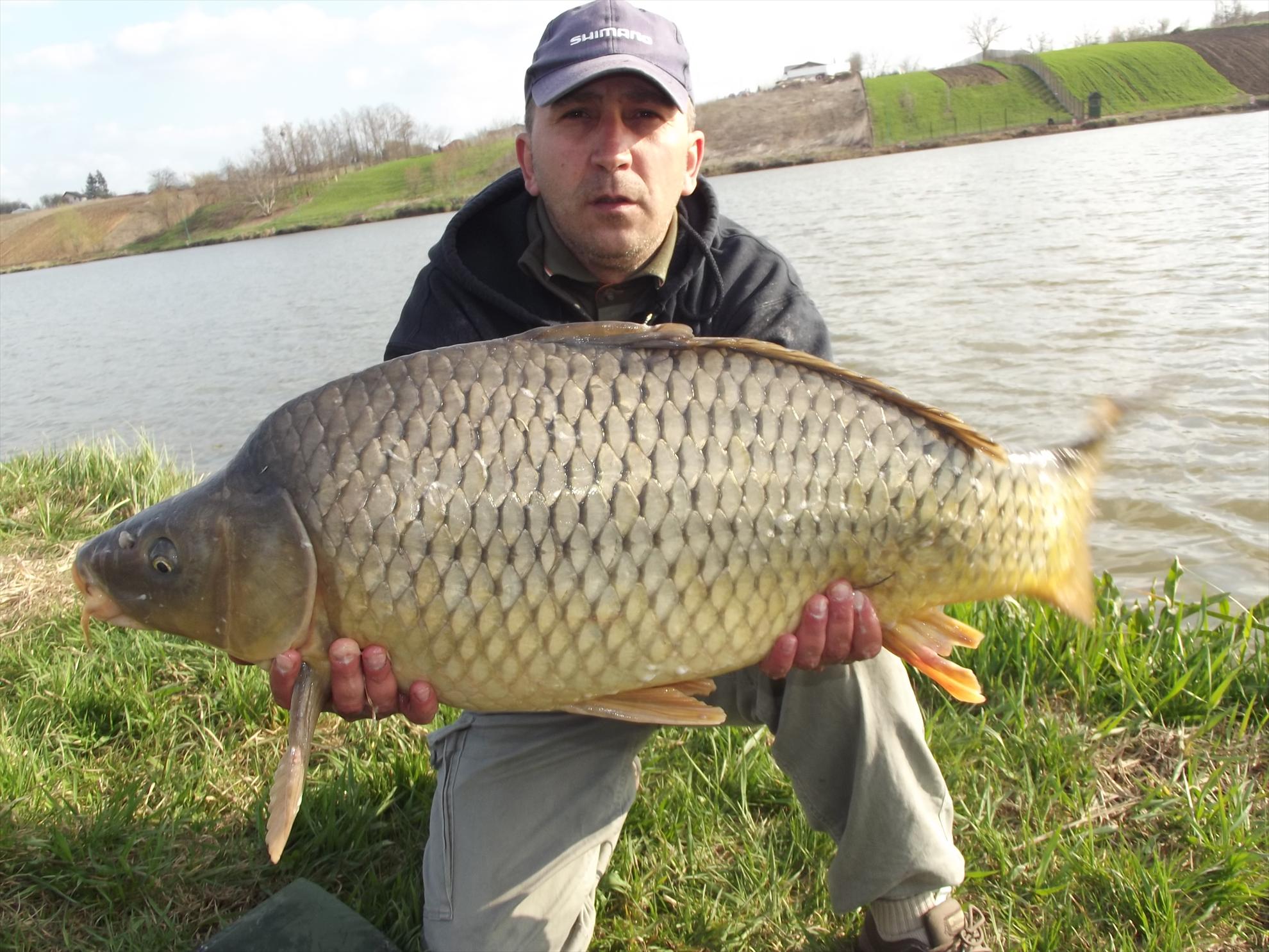 pescuit la crap  - Popescu Dorel_crap 14,6 kg.M. Vlasiei 2  boilies Cenith Becker Fishing
